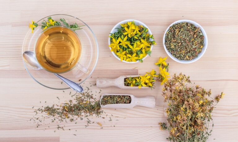 Naturopatia: Terapias Naturais para Fortalecer sua Saúde e Equilíbrio